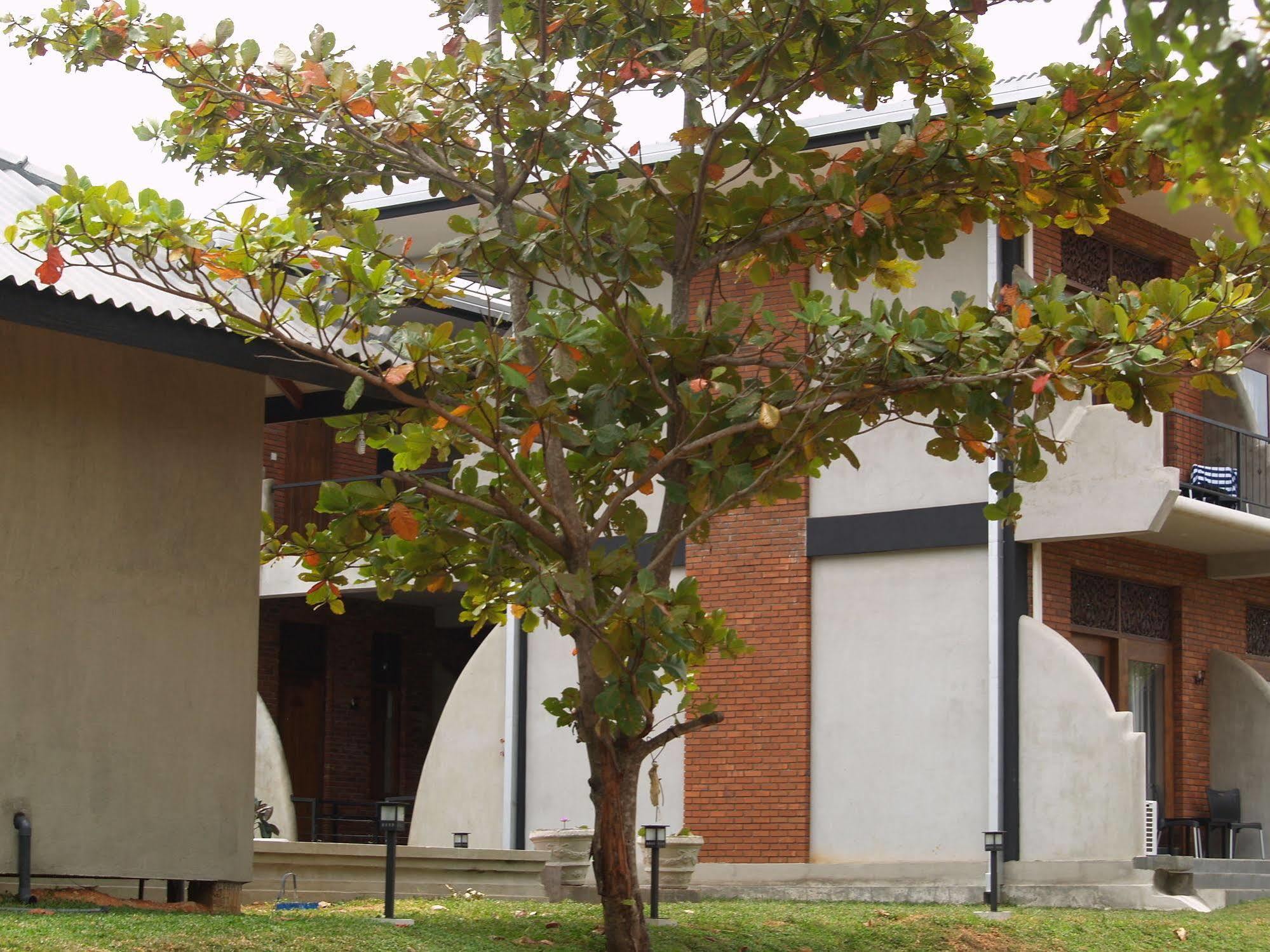 Welimaluwa Resort Sigiriya Kibissa Exterior photo
